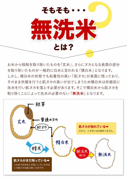 【ふるさと納税】総合１位! 高レビュー 選べる発送時期 選べる出荷時期 2年定期登場 熊本ふるさと無洗米 5kg 10kg 20kg 訳あり 米 コメ こめ 熊本県産 米 ふるさと納税 わけあり 以上のお米ならこれ お米 おこめ 熊本 むせんまい kome musennmai 定期便