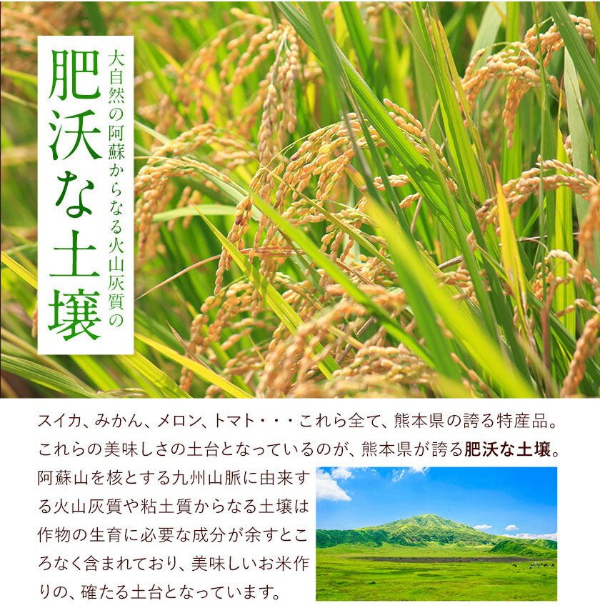 【ふるさと納税】総合１位! 高レビュー 選べる発送時期 選べる出荷時期 2年定期登場 熊本ふるさと無洗米 5kg 10kg 20kg 訳あり 米 コメ こめ 熊本県産 米 ふるさと納税 わけあり 以上のお米ならこれ お米 おこめ 熊本 むせんまい kome musennmai 定期便