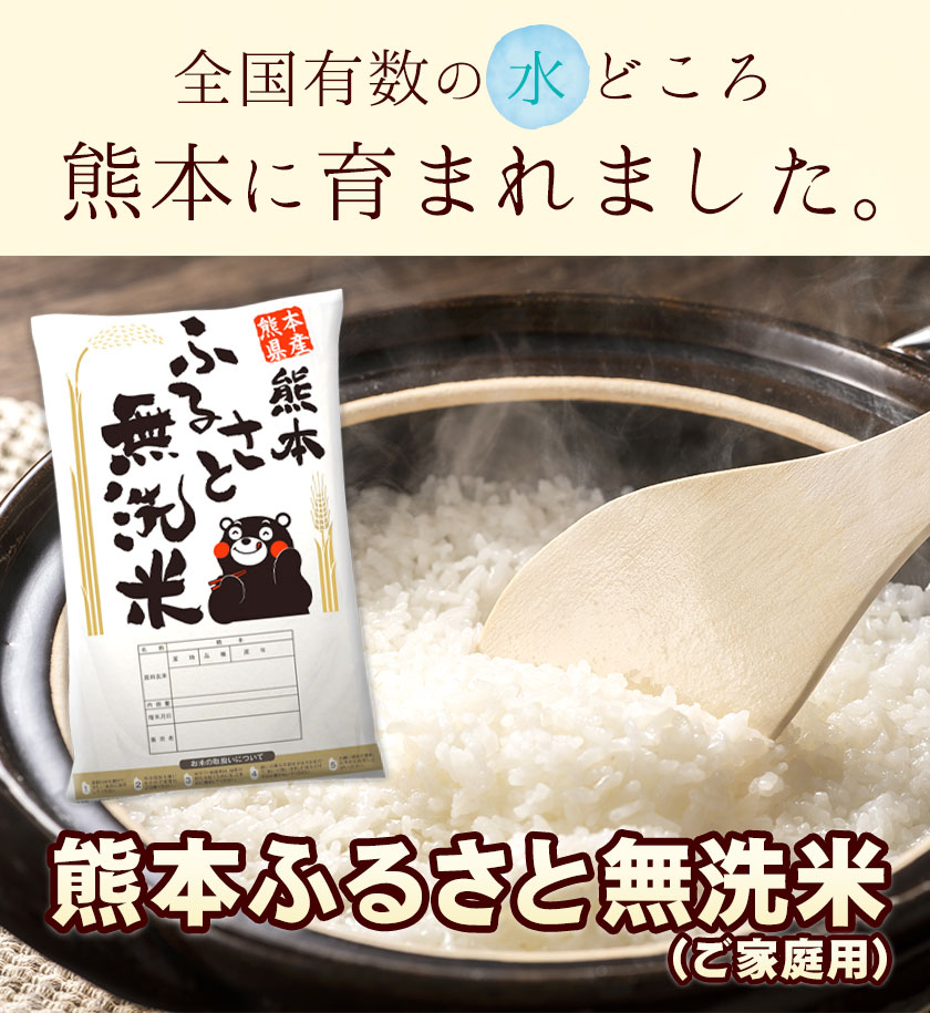 【ふるさと納税】総合１位! 高レビュー 選べる発送時期 選べる出荷時期 2年定期登場 熊本ふるさと無洗米 5kg 10kg 20kg 訳あり 米 コメ こめ 熊本県産 米 ふるさと納税 わけあり 以上のお米ならこれ お米 おこめ 熊本 むせんまい kome musennmai 定期便