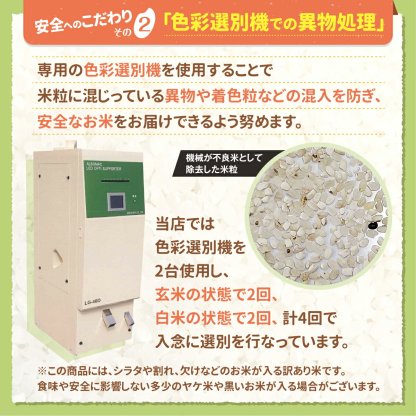 大特価!　お米 白米 10kg (5kg×2袋) 送料無料 農家直送 たべよまい 米 ブレンド米 家庭応援米 安い 訳あり 価格重視 うまい米ショップ