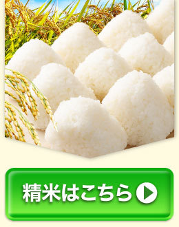 【ふるさと納税】高評価★4.25 令和7年産 お米 阿蘇だわら 選べる 容量 ( 5kg～54kg / 無洗米・精米・玄米 ) R7 熊本県 高森町 白米 ブレンド米 5kg 10kg 15kg 20kg 30kg