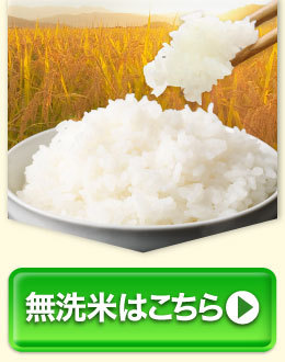 【ふるさと納税】高評価★4.25 令和7年産 お米 阿蘇だわら 選べる 容量 ( 5kg～54kg / 無洗米・精米・玄米 ) R7 熊本県 高森町 白米 ブレンド米 5kg 10kg 15kg 20kg 30kg