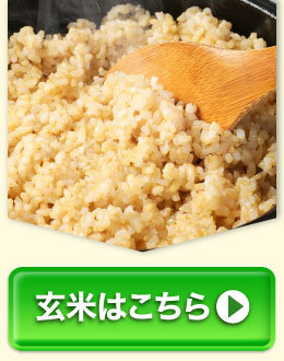 【ふるさと納税】高評価★4.25 令和7年産 お米 阿蘇だわら 選べる 容量 ( 5kg～54kg / 無洗米・精米・玄米 ) R7 熊本県 高森町 白米 ブレンド米 5kg 10kg 15kg 20kg 30kg