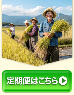 【ふるさと納税】高評価★4.25 令和7年産 お米 阿蘇だわら 選べる 容量 ( 5kg～54kg / 無洗米・精米・玄米 ) R7 熊本県 高森町 白米 ブレンド米 5kg 10kg 15kg 20kg 30kg