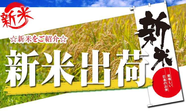 値引 割引 限定 特別 お得 米 白米 10kg 送料無料 コシヒカリ 5kg×2袋 福島県産 令和7年産 一等米 コシヒカリ お米 10キロ 安い あす楽 