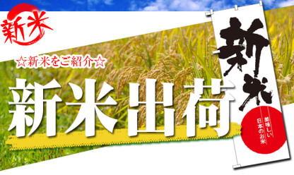 値引 割引 限定 特別 お得 米 白米 10kg 送料無料 コシヒカリ 5kg×2袋 福島県産 令和7年産 一等米 コシヒカリ お米 10キロ 安い あす楽 