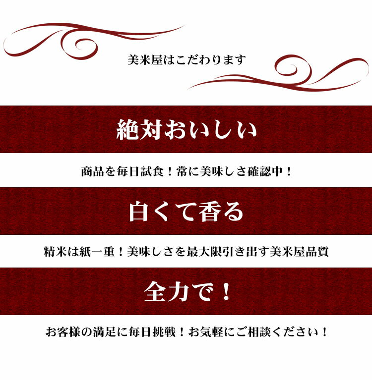 値引 割引 限定 特別 お得 米 白米 10kg 送料無料 コシヒカリ 5kg×2袋 福島県産 令和7年産 一等米 コシヒカリ お米 10キロ 安い あす楽 