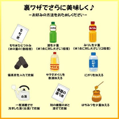 セール 10kg お米 白米 安い 訳あり ブレンド米 送料無料 『国内産たんぼだより白米10kg』