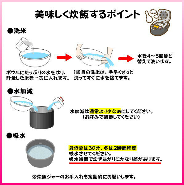 セール 10kg お米 白米 安い 訳あり ブレンド米 送料無料 『国内産たんぼだより白米10kg』