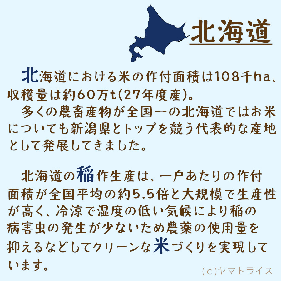 ななつぼし 10kg (5kg×2) 北海道産 白米 令和7年産 米 お米 お中元 お歳暮 贈答 特A