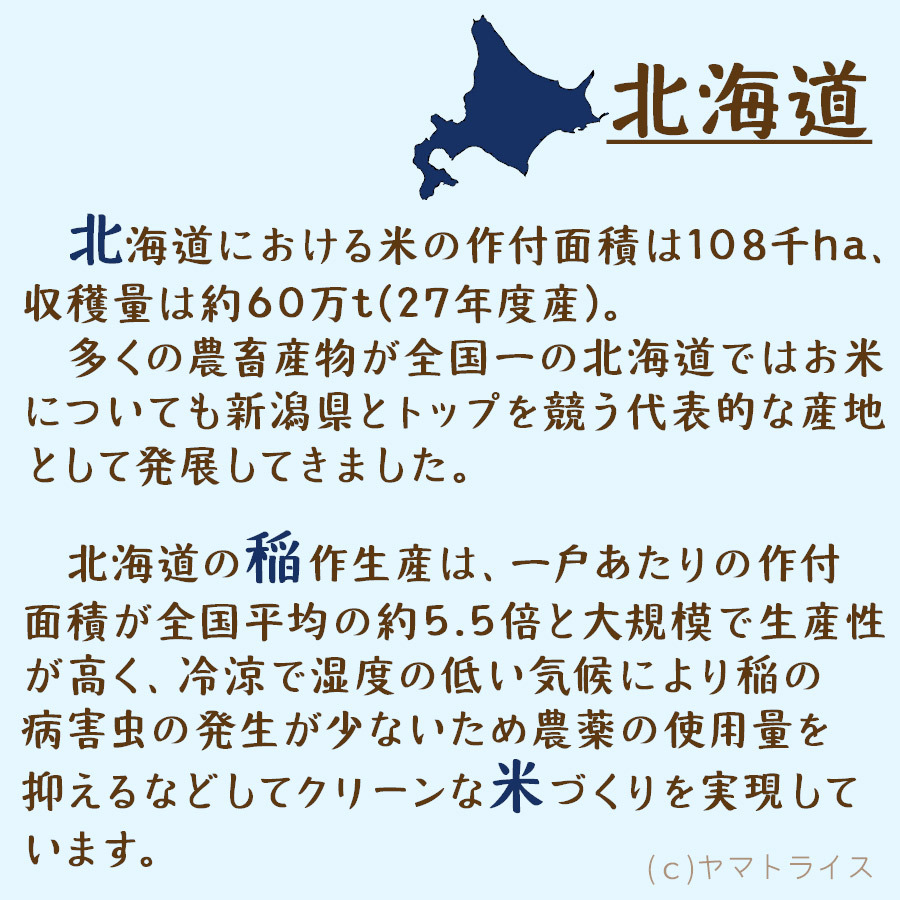 ななつぼし 10kg (5kg×2) 北海道産 白米 令和7年産 米 お米 お中元 お歳暮 贈答 特A