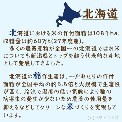 ななつぼし 10kg (5kg×2) 北海道産 白米 令和7年産 米 お米 お中元 お歳暮 贈答 特A