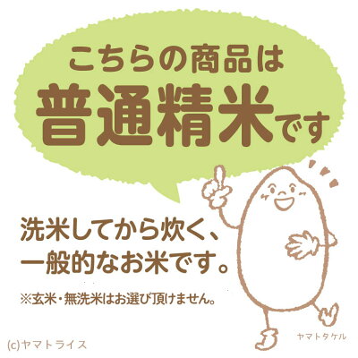 ななつぼし 10kg (5kg×2) 北海道産 白米 令和7年産 米 お米 お中元 お歳暮 贈答 特A