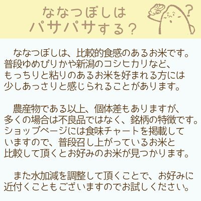 ななつぼし 10kg (5kg×2) 北海道産 白米 令和7年産 米 お米 お中元 お歳暮 贈答 特A