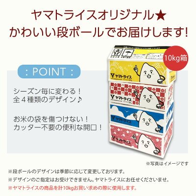 ななつぼし 10kg (5kg×2) 北海道産 白米 令和7年産 米 お米 お中元 お歳暮 贈答 特A