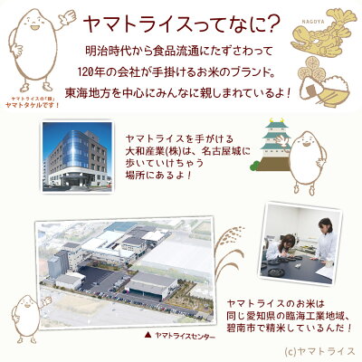 ななつぼし 10kg (5kg×2) 北海道産 白米 令和7年産 米 お米 お中元 お歳暮 贈答 特A