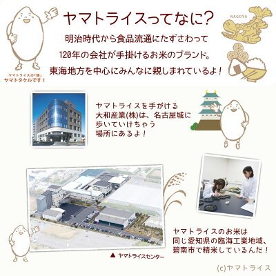 ななつぼし 10kg (5kg×2) 北海道産 白米 令和7年産 米 お米 お中元 お歳暮 贈答 特A