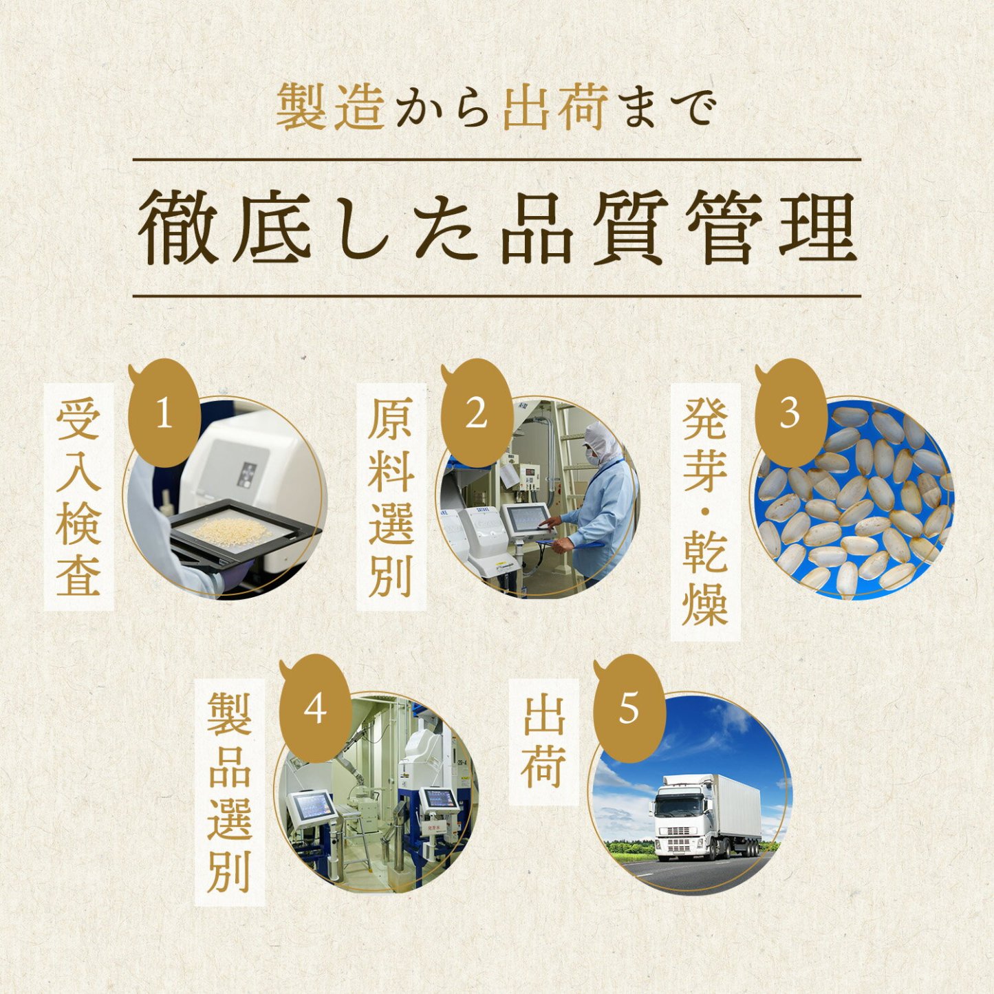 発芽米【ファンケル 公式】 [FANCL 発芽玄米 玄米 ビタミン 発芽米 カルシウム ギャバ ミネラル 米 gaba 健康食品 マグネシウム 健康 お米 食物繊維 こめ おこめ ビタミンb1 ビタミンe プレゼント 糖質オフ 無洗米 低糖質 玄米ご飯 低カロリー 北海道米]