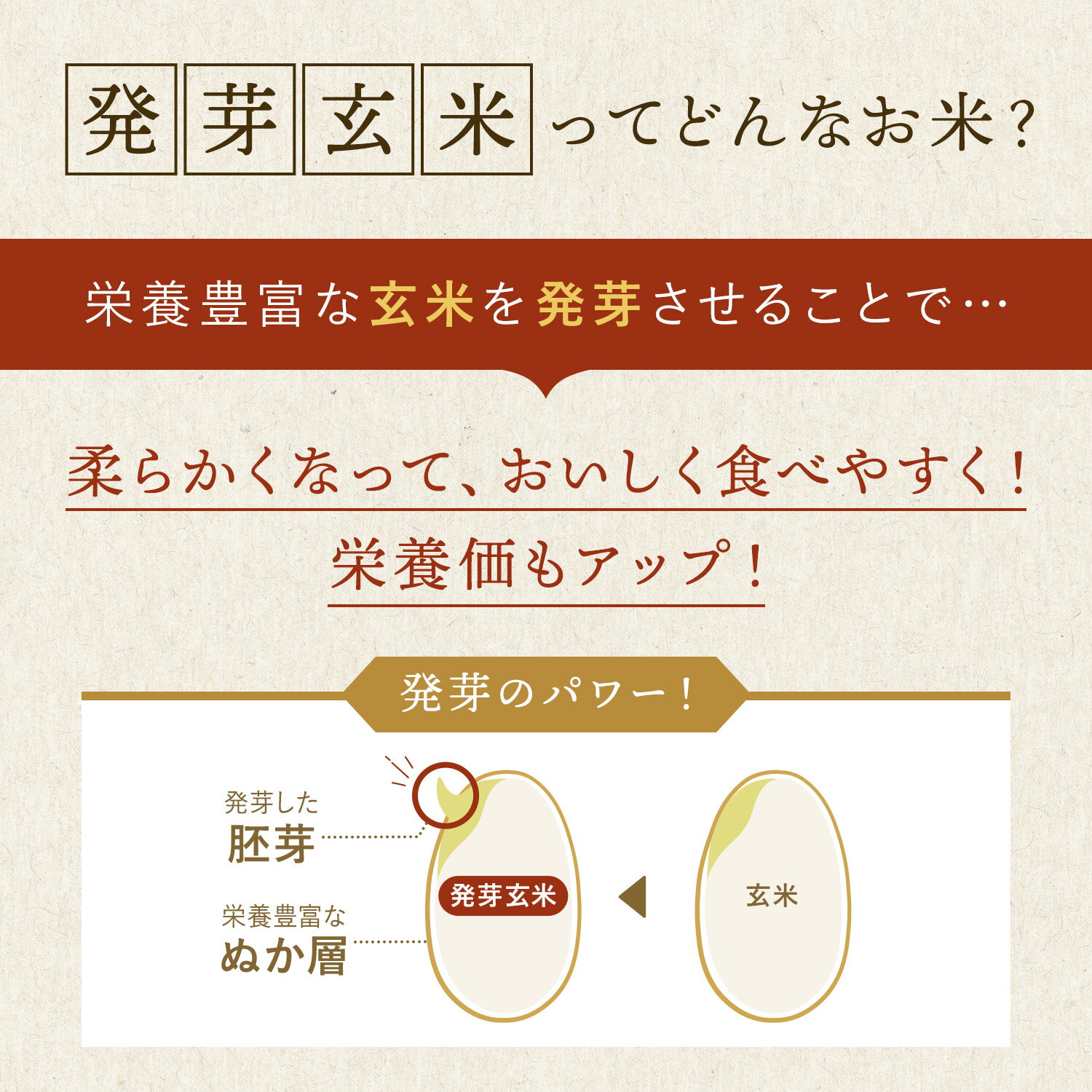 発芽米【ファンケル 公式】 [FANCL 発芽玄米 玄米 ビタミン 発芽米 カルシウム ギャバ ミネラル 米 gaba 健康食品 マグネシウム 健康 お米 食物繊維 こめ おこめ ビタミンb1 ビタミンe プレゼント 糖質オフ 無洗米 低糖質 玄米ご飯 低カロリー 北海道米]