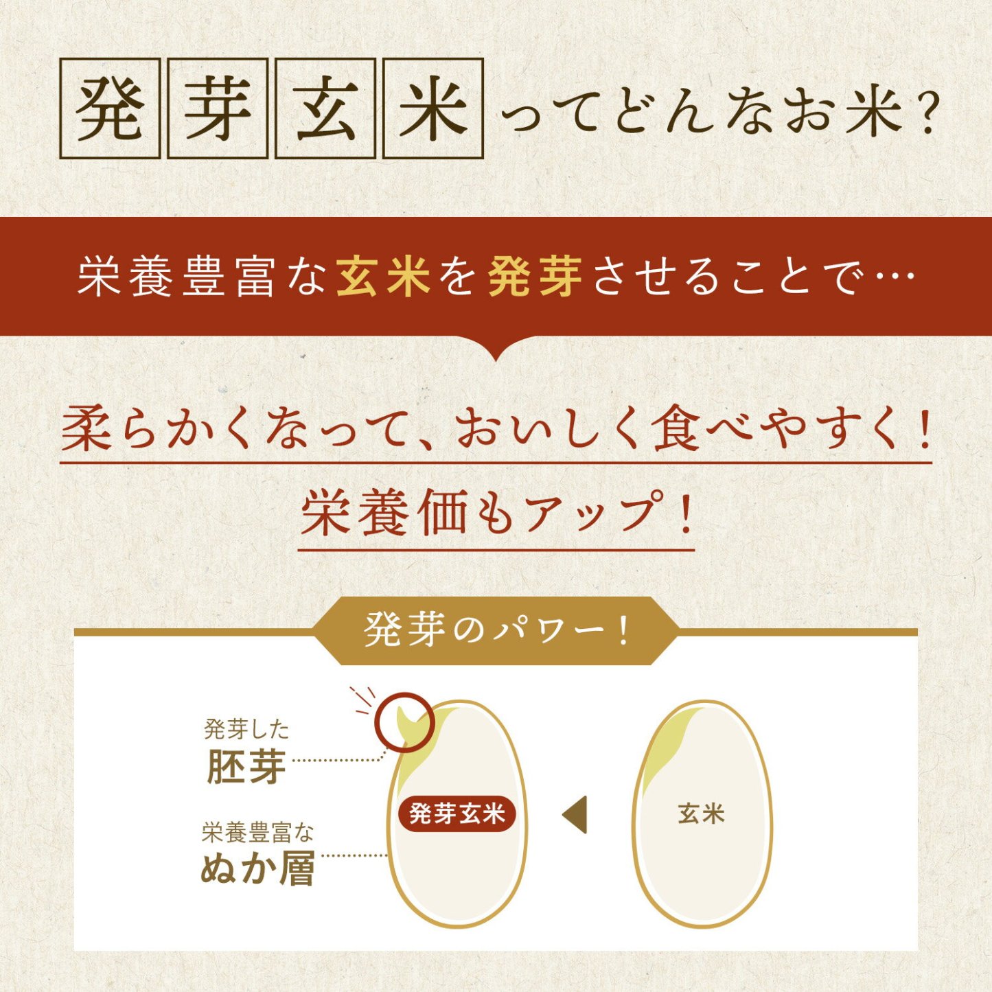 発芽米【ファンケル 公式】 [FANCL 発芽玄米 玄米 ビタミン 発芽米 カルシウム ギャバ ミネラル 米 gaba 健康食品 マグネシウム 健康 お米 食物繊維 こめ おこめ ビタミンb1 ビタミンe プレゼント 糖質オフ 無洗米 低糖質 玄米ご飯 低カロリー 北海道米]