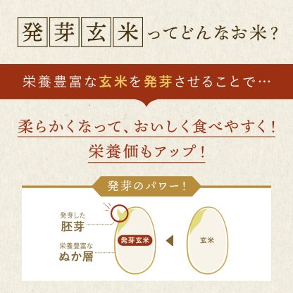 発芽米【ファンケル 公式】 [FANCL 発芽玄米 玄米 ビタミン 発芽米 カルシウム ギャバ ミネラル 米 gaba 健康食品 マグネシウム 健康 お米 食物繊維 こめ おこめ ビタミンb1 ビタミンe プレゼント 糖質オフ 無洗米 低糖質 玄米ご飯 低カロリー 北海道米]