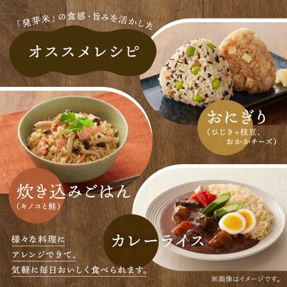 発芽米【ファンケル 公式】 [FANCL 発芽玄米 玄米 ビタミン 発芽米 カルシウム ギャバ ミネラル 米 gaba 健康食品 マグネシウム 健康 お米 食物繊維 こめ おこめ ビタミンb1 ビタミンe プレゼント 糖質オフ 無洗米 低糖質 玄米ご飯 低カロリー 北海道米]