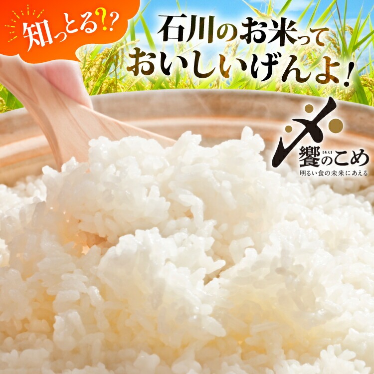 高評価★4.8 米  能登米 石川米 こしひかり 白米 5kg～30kg [中橋商事 石川県 宝達志水町 38601351]  精米 コシヒカリ お米 こめ コメ  5kg 10kg 5キロ 10キロ 能登 ◎