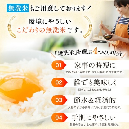 高評価★4.8 米  能登米 石川米 こしひかり 白米 5kg～30kg [中橋商事 石川県 宝達志水町 38601351]  精米 コシヒカリ お米 こめ コメ  5kg 10kg 5キロ 10キロ 能登 ◎