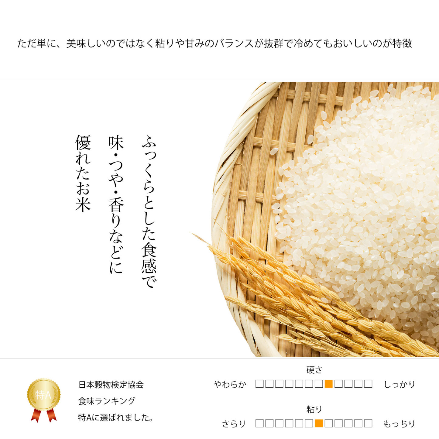 令和7年産 北海道産 ななつぼし 玄米 10kg (5kg×2袋セット) ＜玄米／白米／分づき米＞
