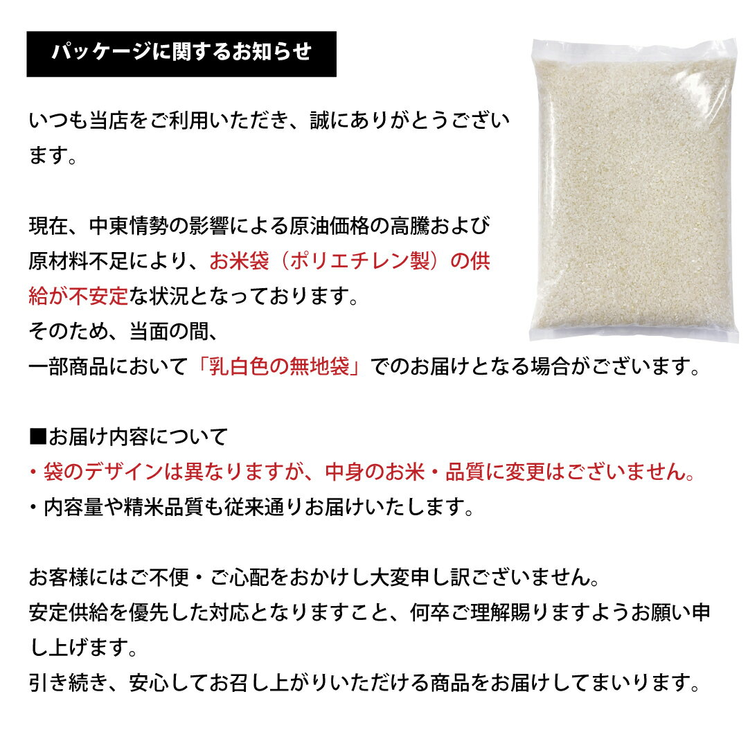 米 20kg 令和7年 熊本県産 森のくまさん 米 20kg 白米 20kg  米 20kg 無洗米 20kg  お米20キロ こめたつ 備蓄用 非常用 精米後 18kg 