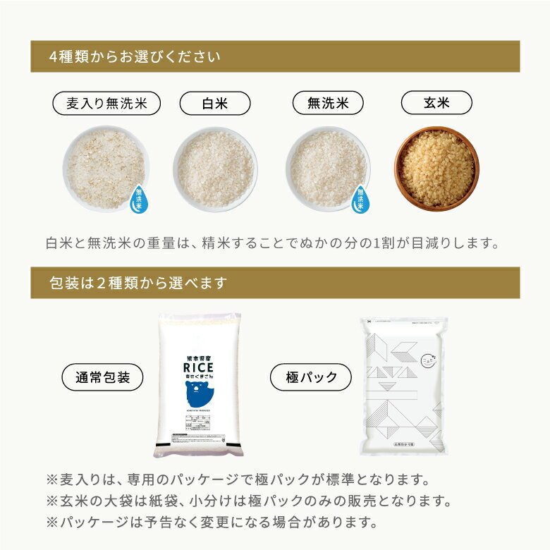 米 20kg 令和7年 熊本県産 森のくまさん 米 20kg 白米 20kg  米 20kg 無洗米 20kg  お米20キロ こめたつ 備蓄用 非常用 精米後 18kg 