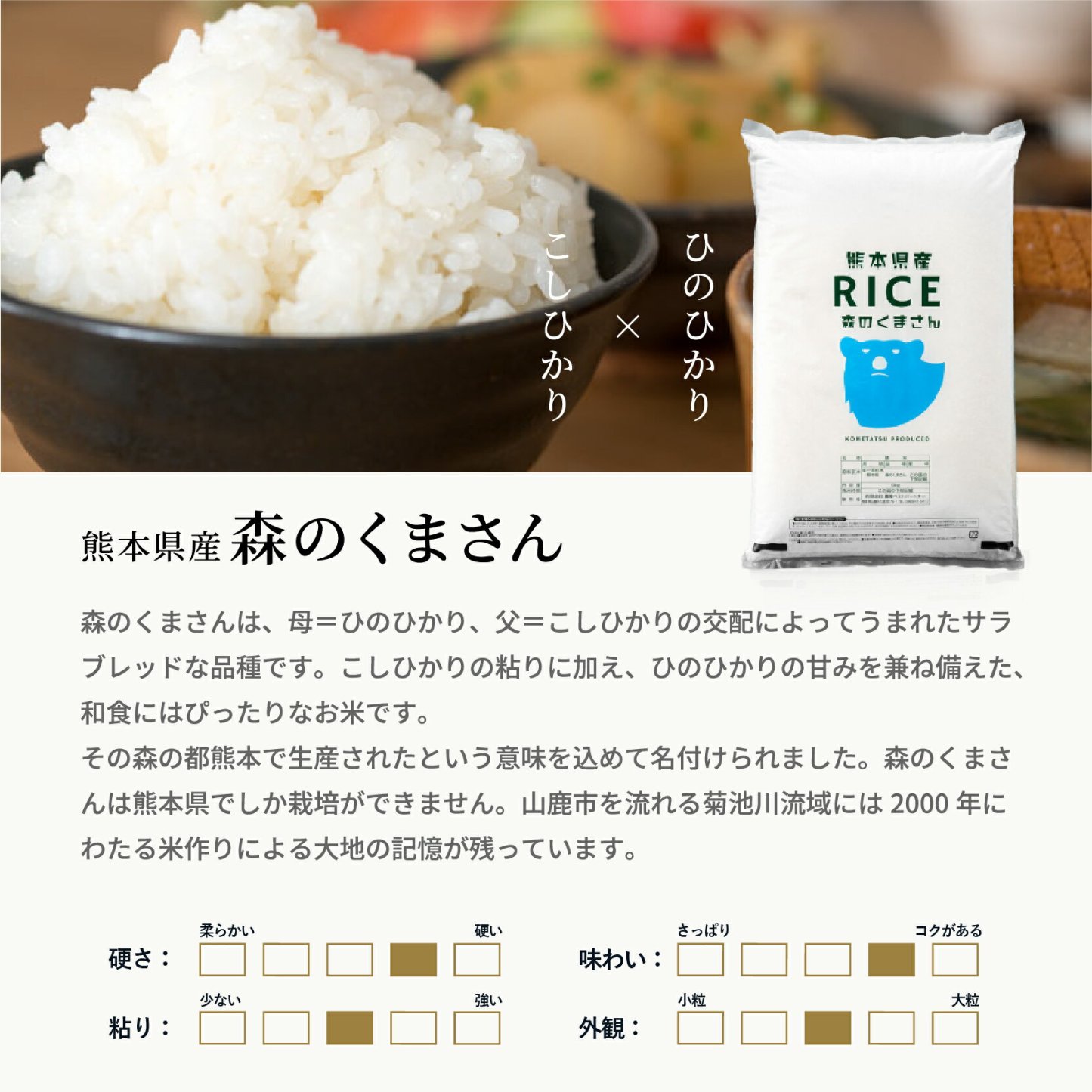 米 20kg 令和7年 熊本県産 森のくまさん 米 20kg 白米 20kg  米 20kg 無洗米 20kg  お米20キロ こめたつ 備蓄用 非常用 精米後 18kg 