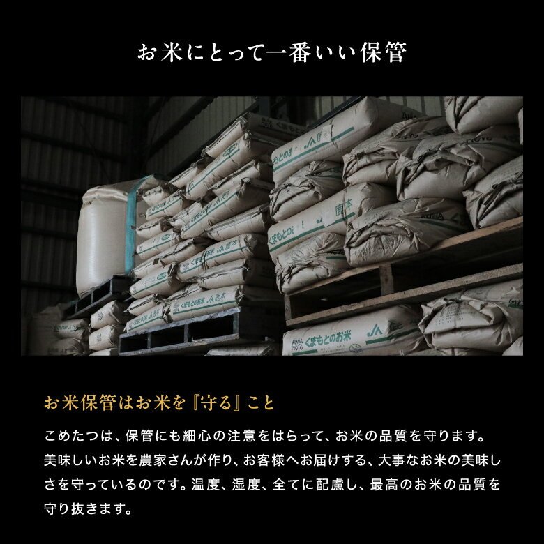 米 20kg 令和7年 熊本県産 森のくまさん 米 20kg 白米 20kg  米 20kg 無洗米 20kg  お米20キロ こめたつ 備蓄用 非常用 精米後 18kg 