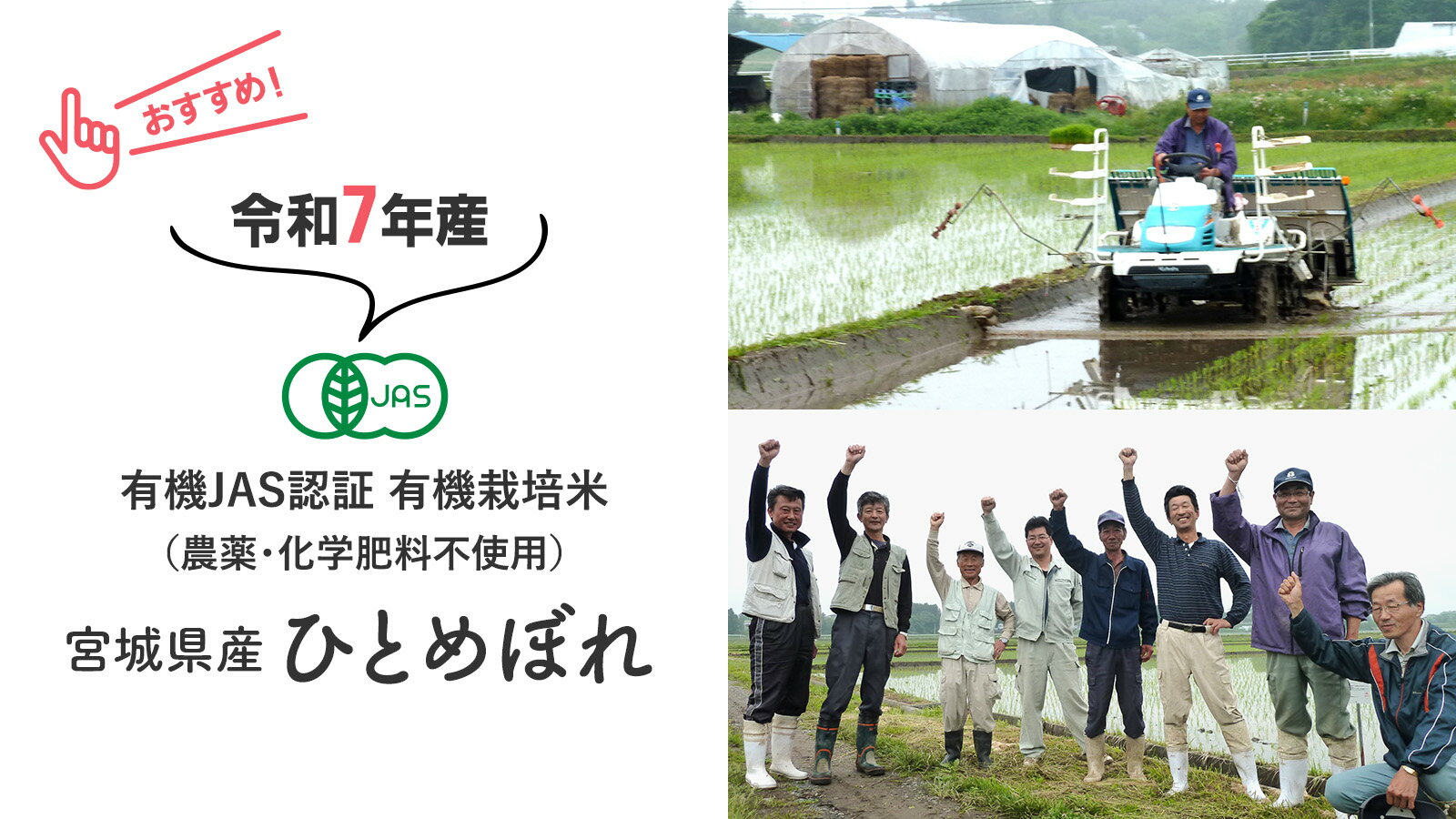 無農薬 玄米 米 胚芽 精米 2kg×4銘柄 食べ比べ 令和7年産 鳥取コシヒカリ・福井あきさかり  有機玄米 JAS有機米 オーガニック 1等米