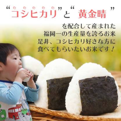 【100％ 令和7年産】無洗米 福岡県産ヒノヒカリ 20kg（5kg×4袋）