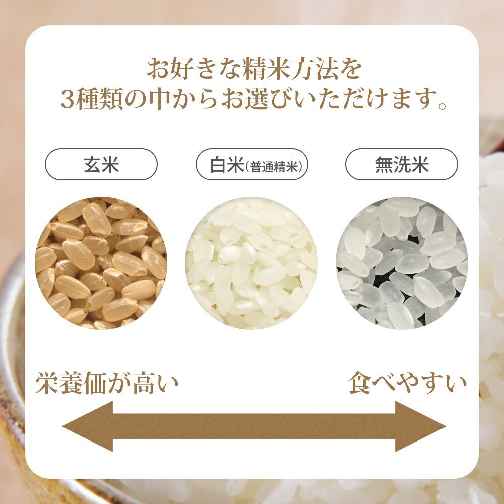 令和7年産 山形県産 はえぬき 15kg 無洗米/白米/玄米 (5kg×3袋)   お米 15キロ おこめ コメ