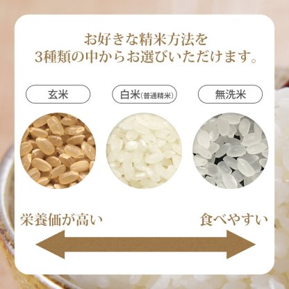 令和7年産 山形県産 はえぬき 15kg 無洗米/白米/玄米 (5kg×3袋)   お米 15キロ おこめ コメ