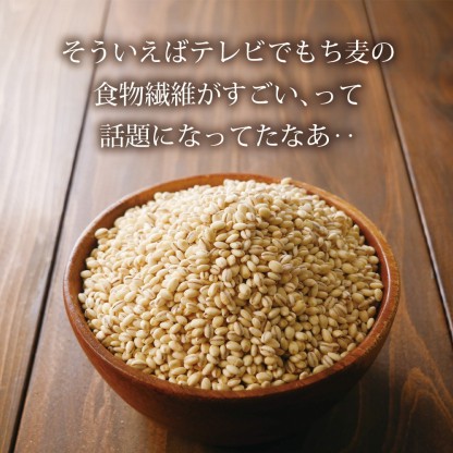 もち麦 九州産 900g x 10袋【お米と変わらないお値段で、美味しく食物繊維をプラス♪】国産もち麦 メール便 雑穀 穀類 ご飯 お米 ヘルシー 腸活 食物繊維 ダイエット
