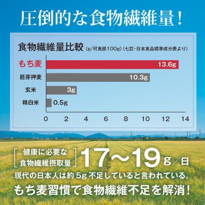 もち麦 九州産 900g x 10袋【お米と変わらないお値段で、美味しく食物繊維をプラス♪】国産もち麦 メール便 雑穀 穀類 ご飯 お米 ヘルシー 腸活 食物繊維 ダイエット