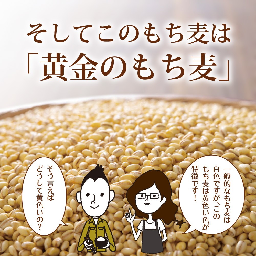 もち麦 九州産 900g x 10袋【お米と変わらないお値段で、美味しく食物繊維をプラス♪】国産もち麦 メール便 雑穀 穀類 ご飯 お米 ヘルシー 腸活 食物繊維 ダイエット