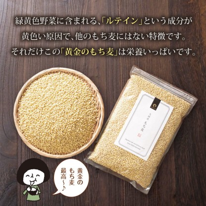 もち麦 九州産 900g x 10袋【お米と変わらないお値段で、美味しく食物繊維をプラス♪】国産もち麦 メール便 雑穀 穀類 ご飯 お米 ヘルシー 腸活 食物繊維 ダイエット