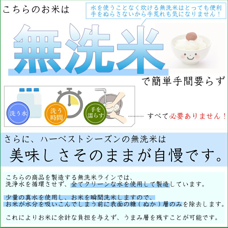 【特価】令和7年産 無洗米 滋賀県産 ミルキークイーン 20kg 5kg×4袋 [送料無料] Shop Of The Year 米大賞