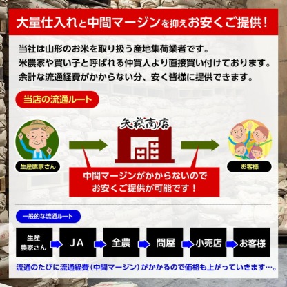 【送料無料】令和7年産山形県産はえぬき玄米30kg