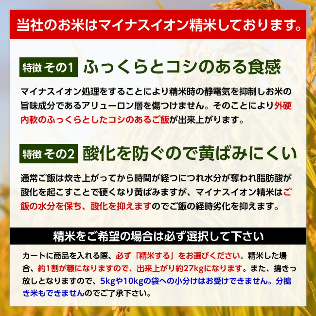 【送料無料】令和7年産山形県産はえぬき玄米30kg