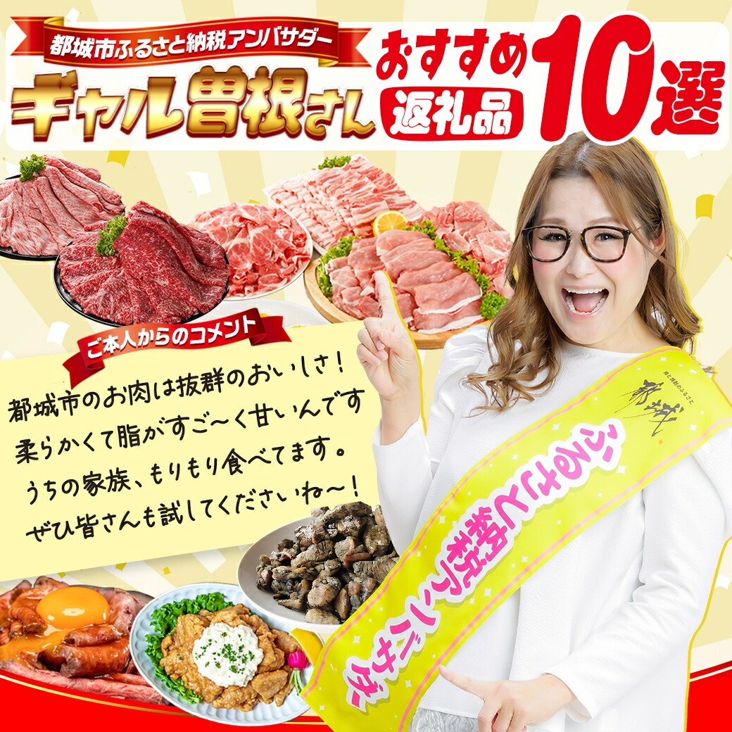 【ふるさと納税】レビュー満足度9割超え【産地＋内容量＋発送時期が選べる！】わくわく豚肉セット - 豚肉 1.5kg/2.4kg/4.1kg ロース とんかつ 焼肉 切り落とし等 都城産高城の里/宮崎県産豚 快速便あり 送料無料 SKU-8404【宮崎県都城市】