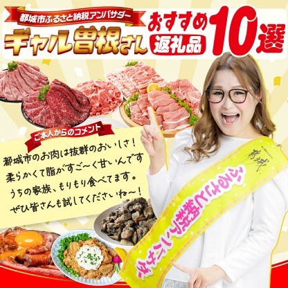 【ふるさと納税】レビュー満足度9割超え【産地＋内容量＋発送時期が選べる！】わくわく豚肉セット - 豚肉 1.5kg/2.4kg/4.1kg ロース とんかつ 焼肉 切り落とし等 都城産高城の里/宮崎県産豚 快速便あり 送料無料 SKU-8404【宮崎県都城市】