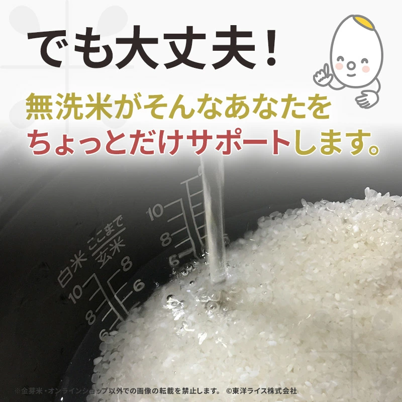 令和7年産 金芽米 ベストセレクト 10kg(5kg×2袋) 送料無料 東洋ライス 玄米の栄養を残した白米無洗米 きんめまい オリジナル ブレンド米 国内産10割 工場直送 亜糊粉層 あこふんそう 国内産 １０kg