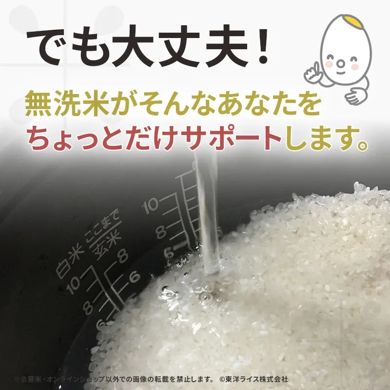 令和7年産 金芽米 ベストセレクト 10kg(5kg×2袋) 送料無料 東洋ライス 玄米の栄養を残した白米無洗米 きんめまい オリジナル ブレンド米 国内産10割 工場直送 亜糊粉層 あこふんそう 国内産 １０kg