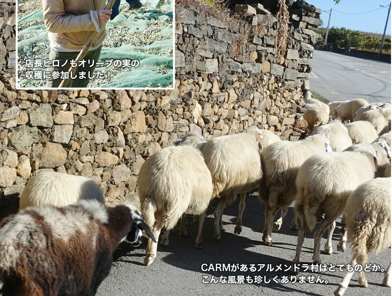 オーガニック・エキストラバージン・オリーブオイル