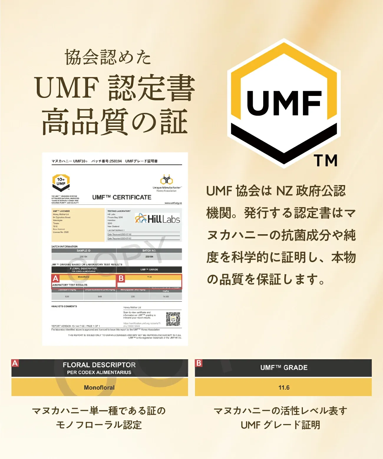 マヌカハニー UMF10+ 250g [MGO261+] はちみつ  ハニーマザー UMF協会認定 ニュージーランド 無添加 喉 痛み ケア 抗菌力 美容 非加熱 ダイエット 腸活 蜂蜜 100％ ；